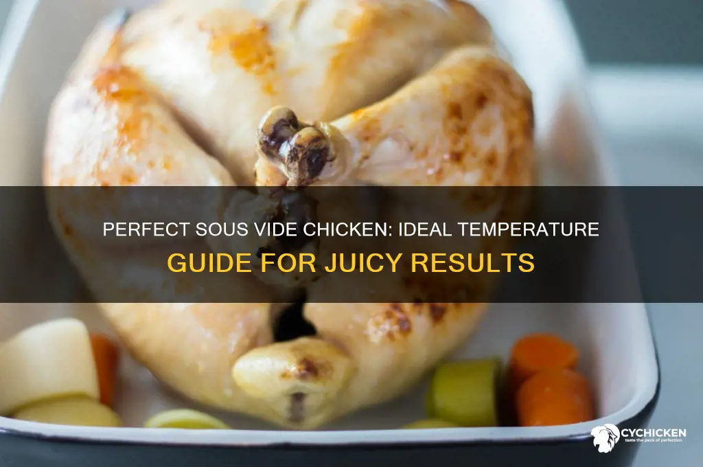 what temp should you sous vide chicken