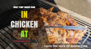 Perfect Bone-In Chicken: Ideal Smoking Temperature and Techniques Revealed