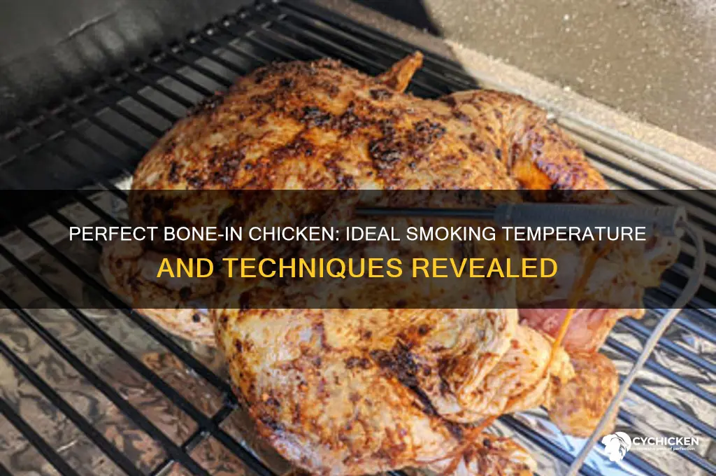 what temp smoke bone in chicken at