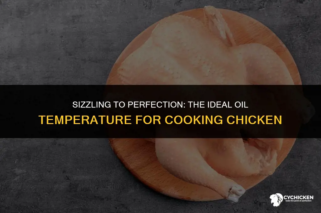 what temp to cook chicken in pot of oil