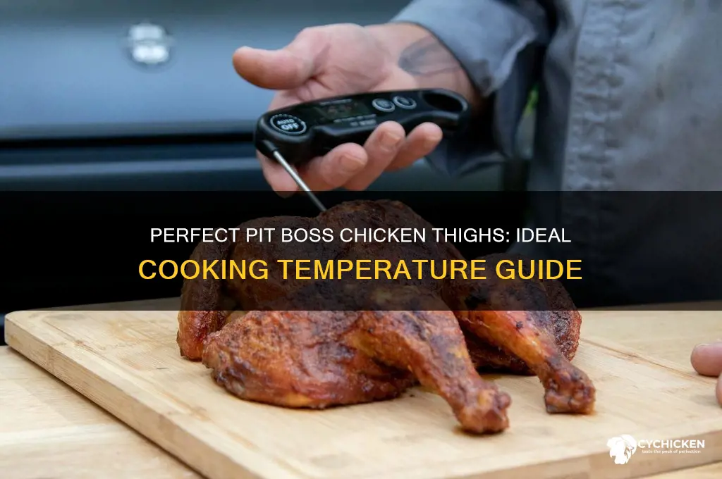 what temp to cook chicken thighs on pit boss