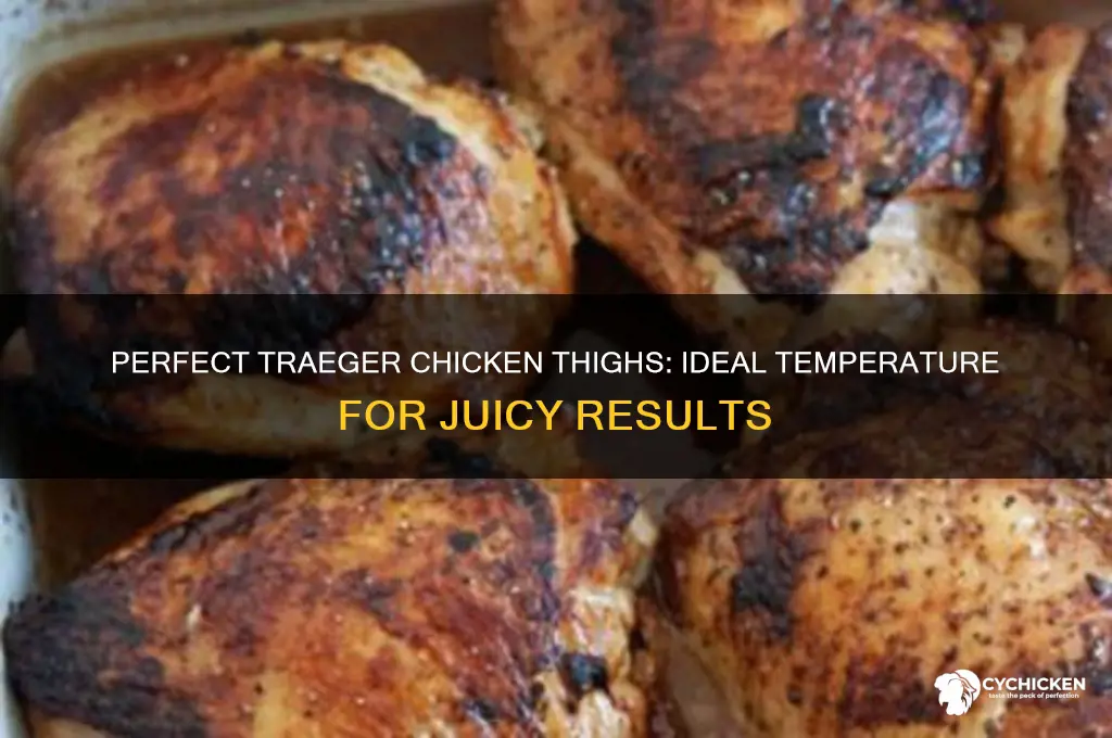 what temp to cook chicken thighs on traeger