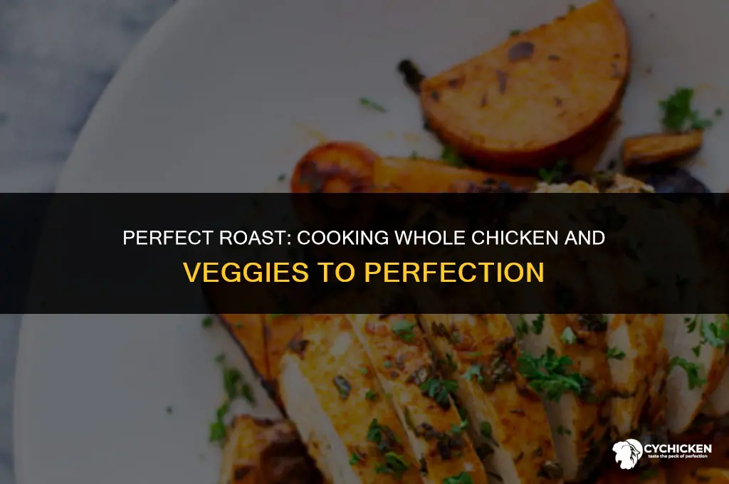 what temp to cook whole chicken and veggies