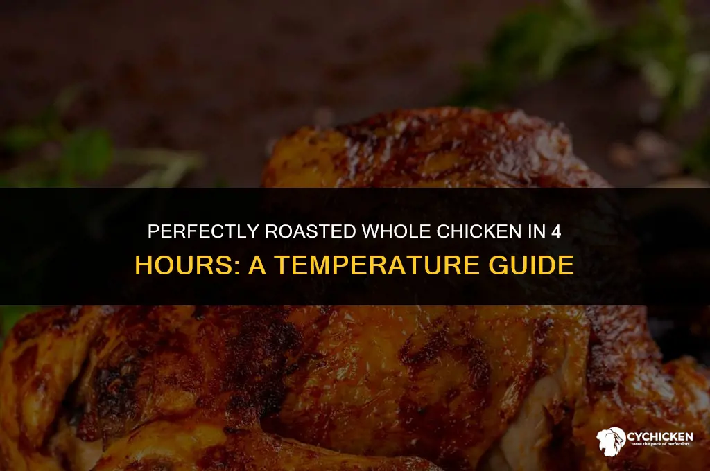 what temp to cook whole chicken fo 4 hrs
