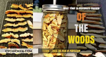 Optimal Dehydrating Temperature for Chicken of the Woods Mushrooms