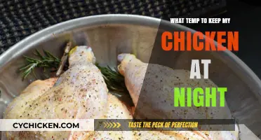 Ideal Nighttime Temperature for Happy, Healthy Chickens: A Guide