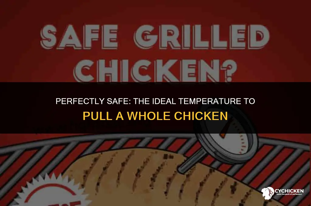 what temp to pull a whole chicken