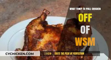 Perfect WSM Chicken: Ideal Temperature to Pull It Off