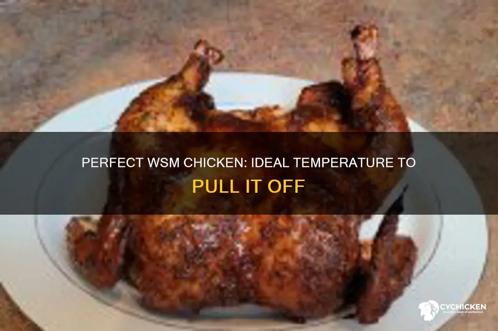 what temp to pull chicken off of wsm