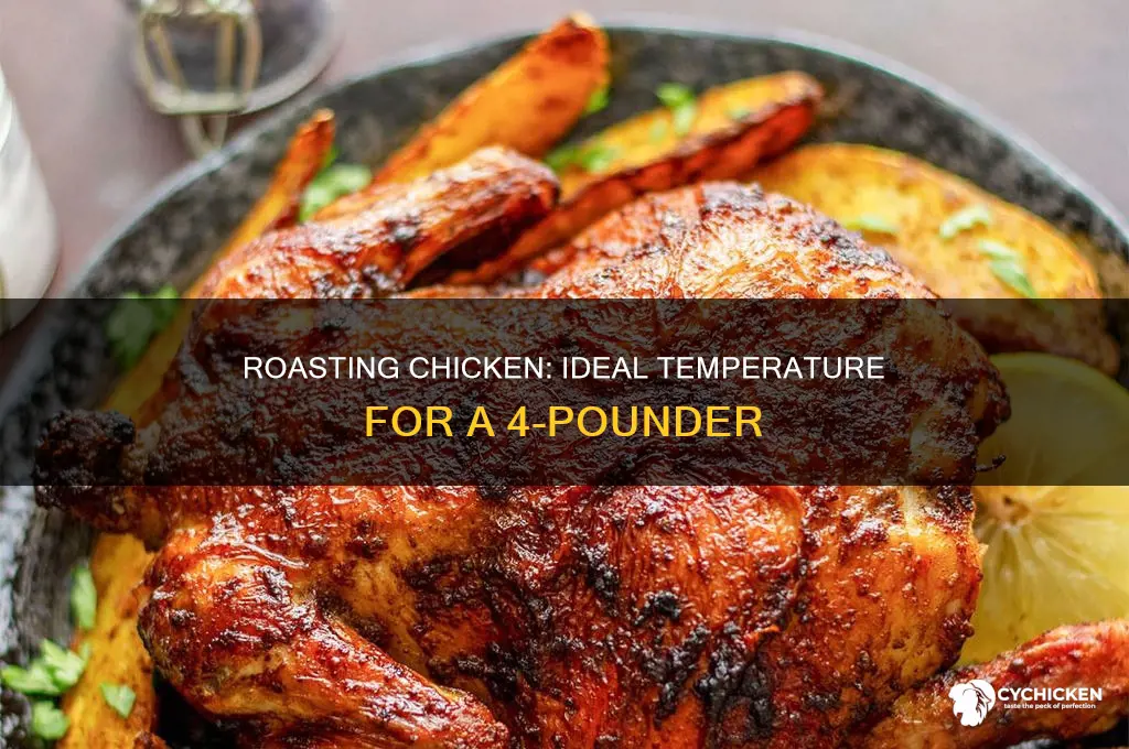 what temp to put a 4 lb chicken on