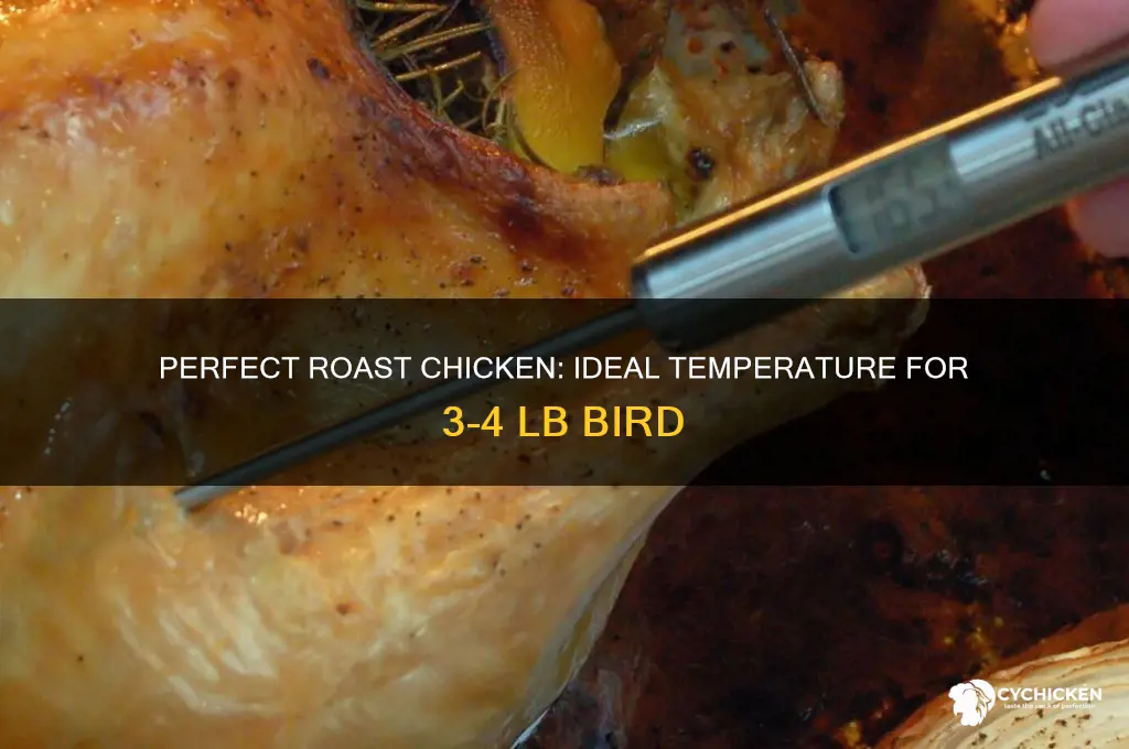 what temp to roast a 3-4 lb chicken