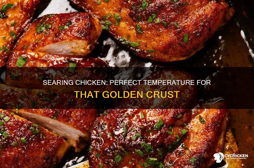 what temp to sear boneless skinless chicken before baking
