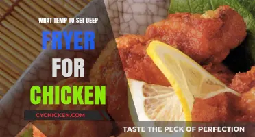 Perfect Crispy Chicken: Ideal Deep Fryer Temperature Guide