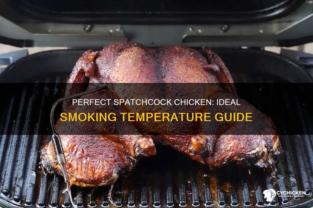what temp to smoke a spatchcock chicken