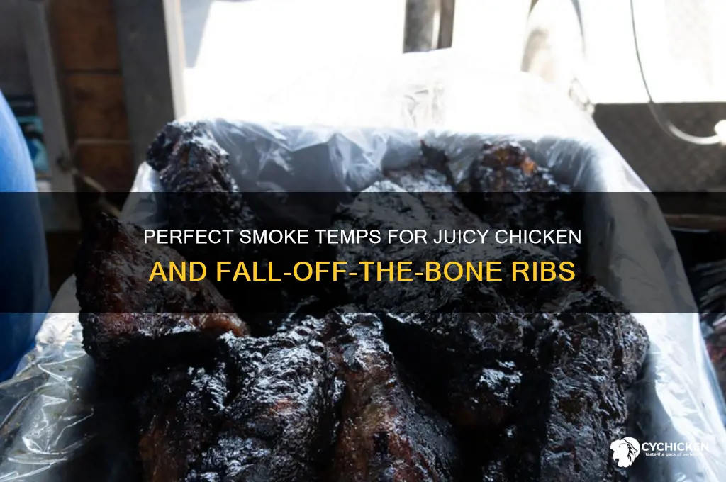 what temp to smoke chicken and ribs