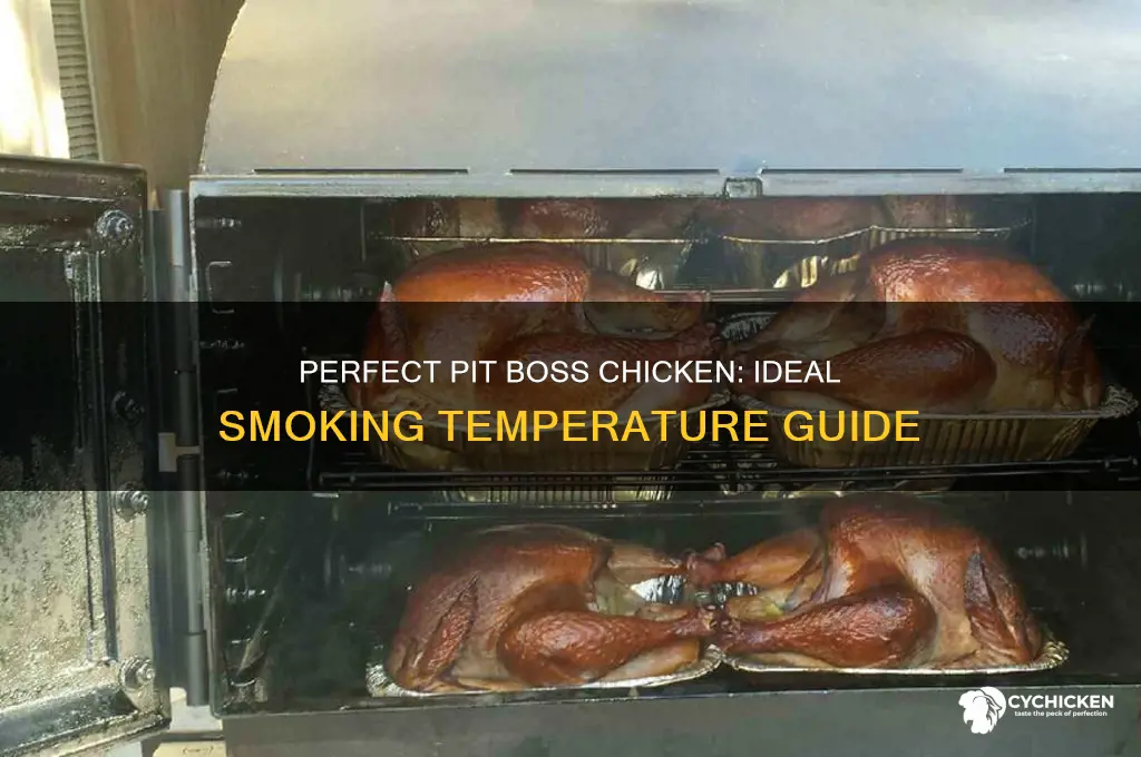 what temp to smoke chicken on pit boss