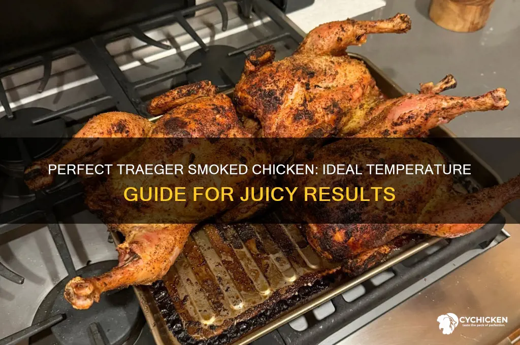 what temp to smoke chicken on traeger