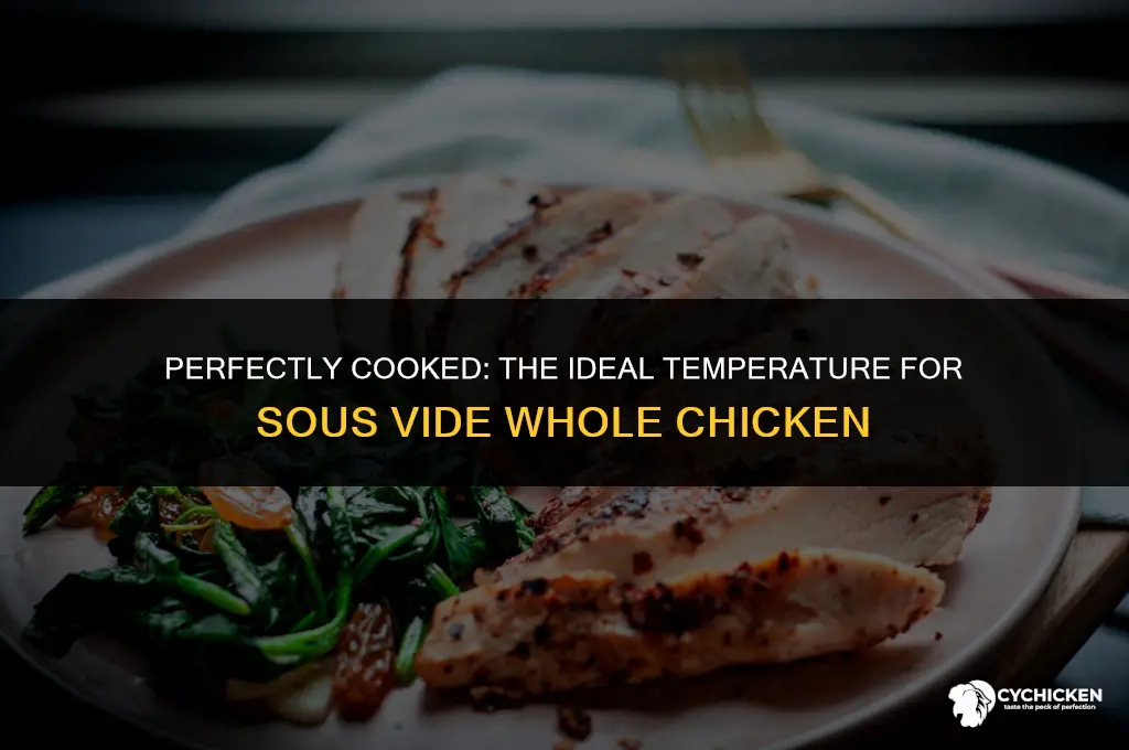 what temp to sous vide whole chicken