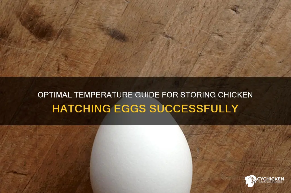 what temp to store chicken hatching evgs