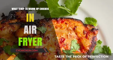 Warm and Crispy: Chicken Air Fryer Temperature Guide