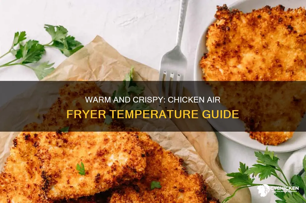 what temp to warm up chicken in air fryer