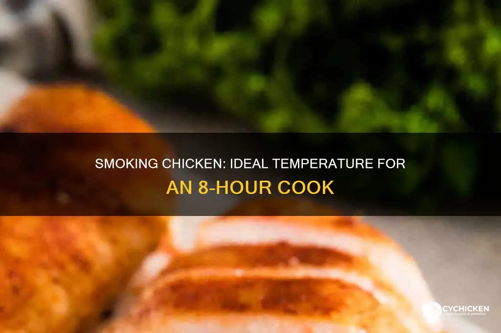 what tempature should i smoke chicken at for 8 hours
