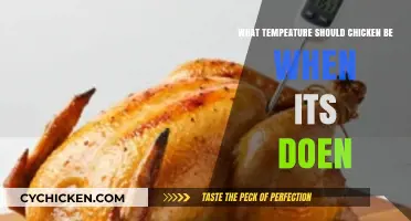 Perfectly Cooked Chicken: Ideal Internal Temperature for Safe and Juicy Results