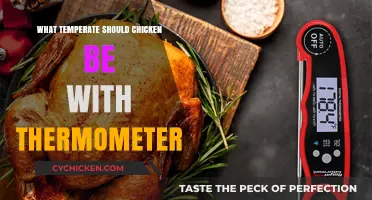 Perfect Chicken Temperature: Thermometer Tips for Safe and Juicy Results