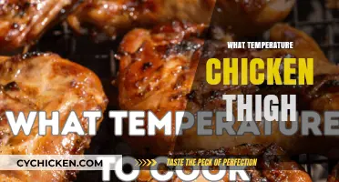 Perfect Chicken Thigh Temperature: Juicy, Safe, and Delicious Cooking Guide