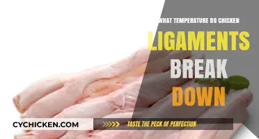 When Do Chicken Ligaments Break Down? Optimal Cooking Temperatures Explained