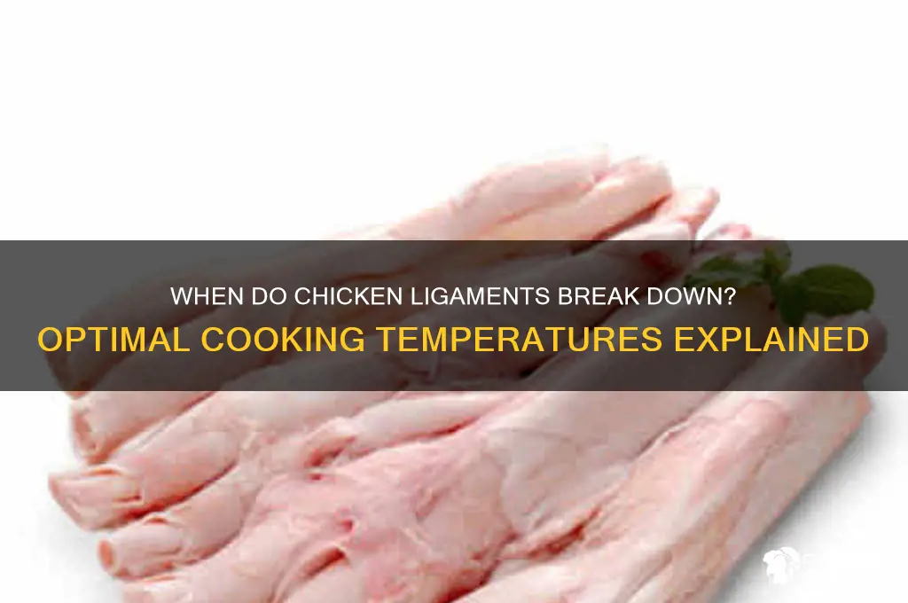 what temperature do chicken ligaments break down
