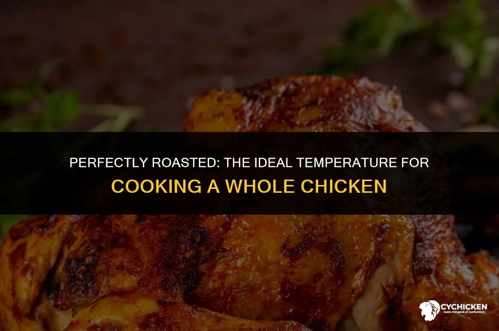 what temperature do i cook a whole chicken to
