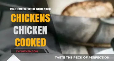 Perfectly Cooked Whole Young Chickens: A Temperature Guide