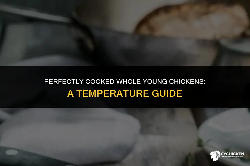 what temperature do whole young chickens chicken cooked