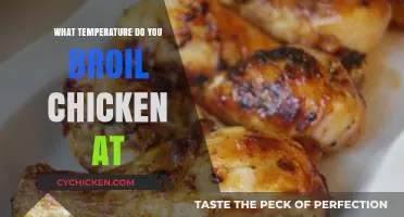 Perfect Broiled Chicken: Optimal Temperature Guide for Juicy Results