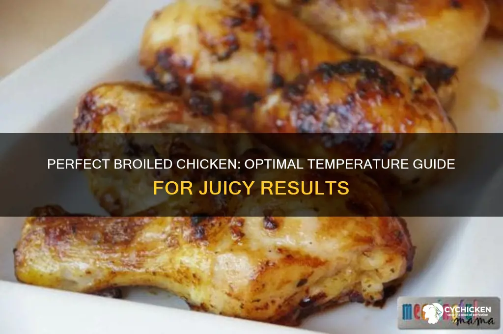 what temperature do you broil chicken at