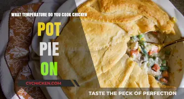 Perfectly Baked Chicken Pot Pie: Temperature Guide