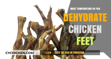Dehydrating Chicken Feet: Optimal Temperature Guide for Perfect Results
