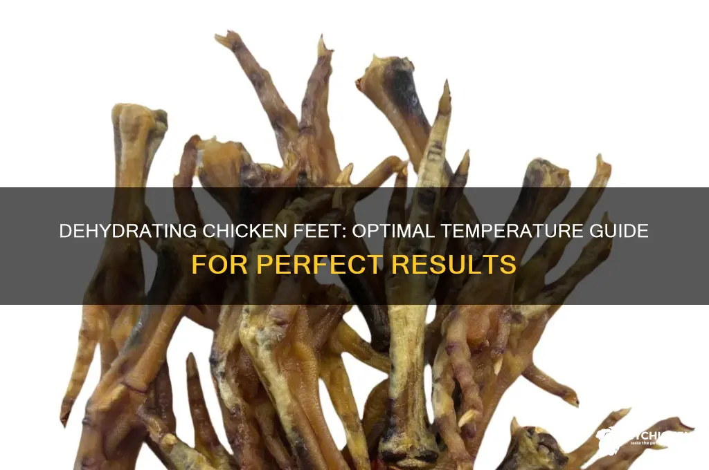 what temperature do you dehydrate chicken feet