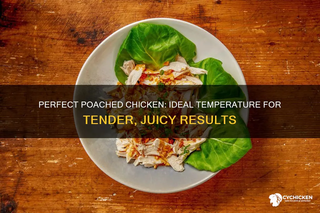 what temperature do you poach chicken to