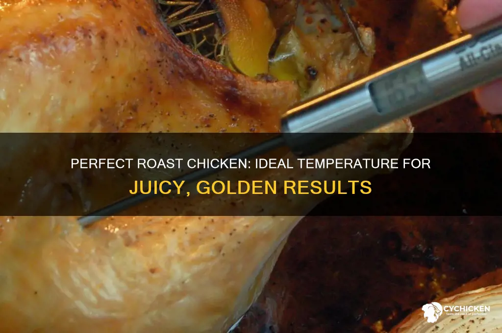 what temperature do you roast a whole chicken