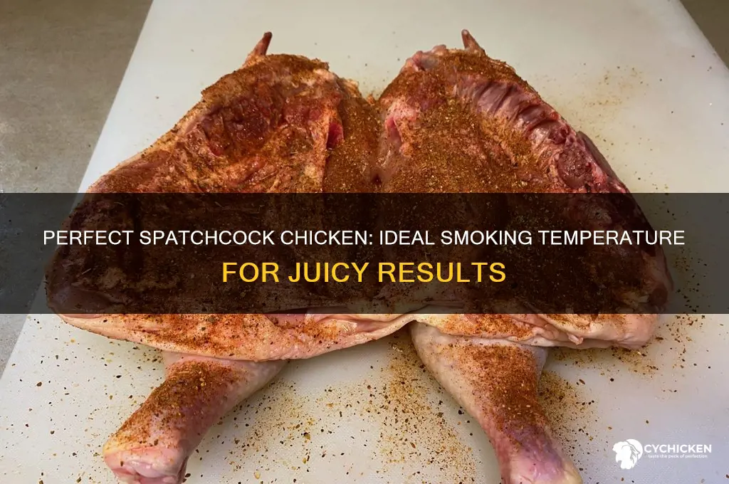 what temperature do you smoke a spatchcock chicken
