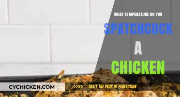 Perfect Spatchcock Chicken: Ideal Temperature for Juicy, Crispy Results