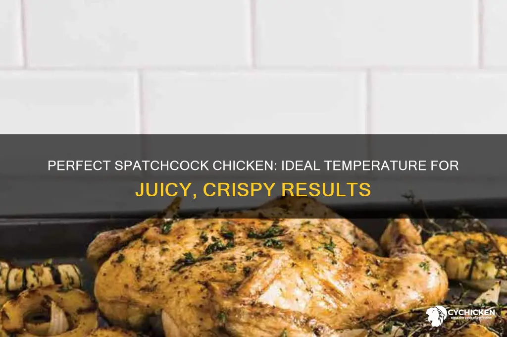 what temperature do you spatchcock a chicken