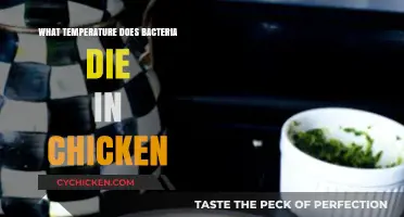 Safe Cooking Temperatures: When Does Bacteria Die in Chicken?
