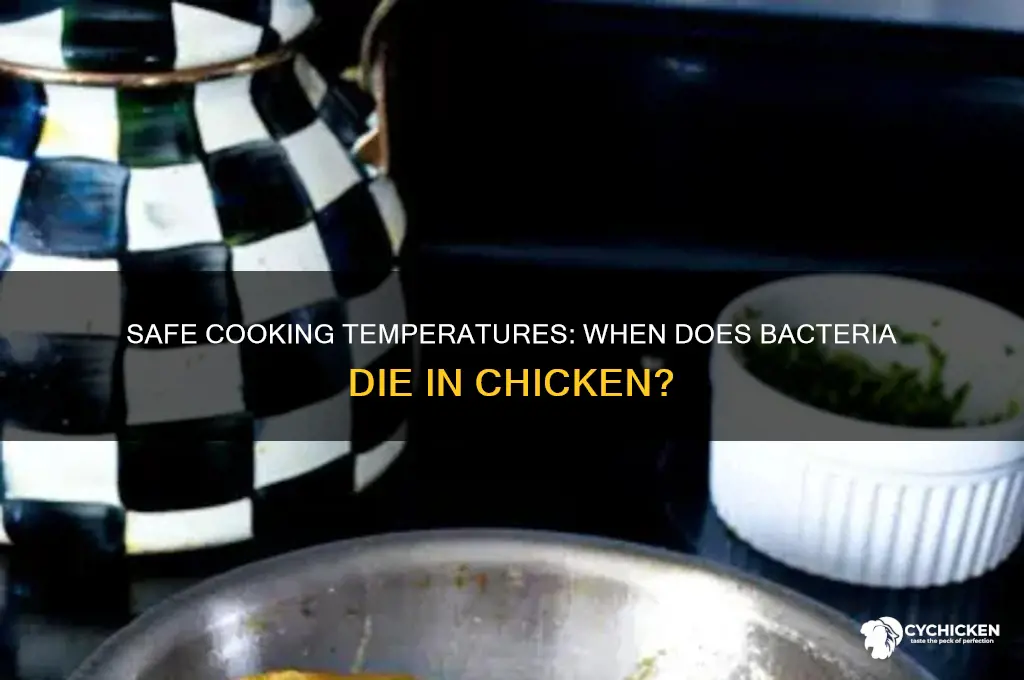 what temperature does bacteria die in chicken