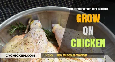 Optimal Chicken Bacteria Growth: Understanding Temperature Risks and Food Safety