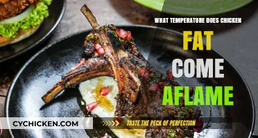 Chicken Fat Flare-Up: The Exact Temperature It Catches Fire