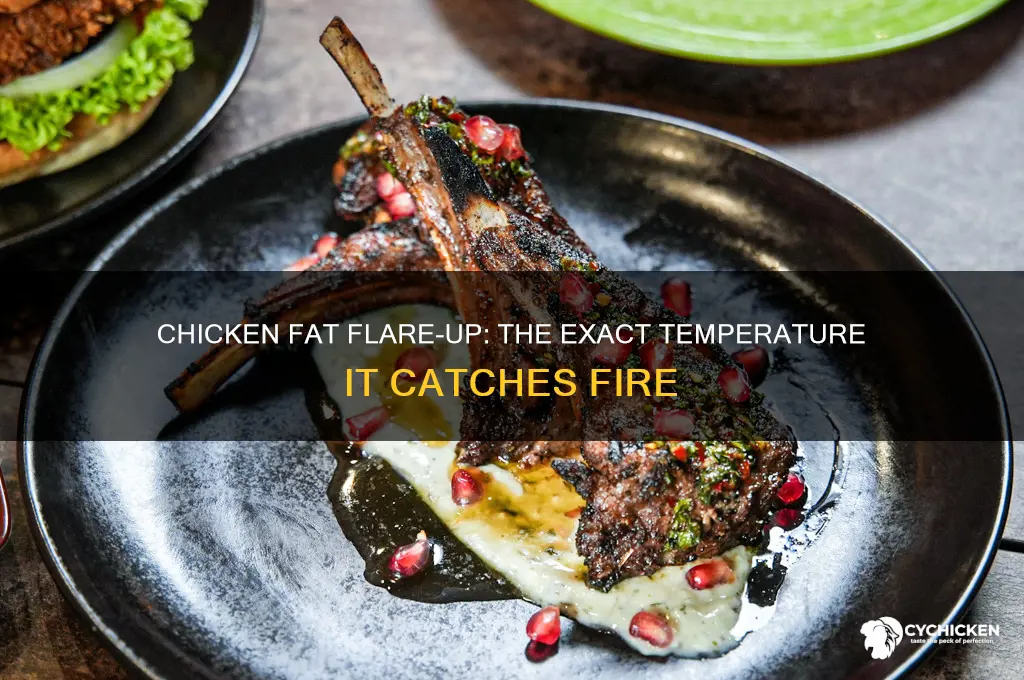 what temperature does chicken fat come aflame
