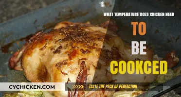 Perfectly Cooked Chicken: Ideal Temperature for Safe and Juicy Results